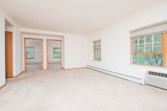 Image of Lilac Senior (9)