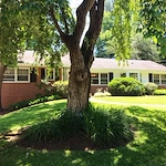 Image of Avalon House 3 on Woodacre Drive (1)