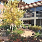 Image of The Willensky Residence (1)