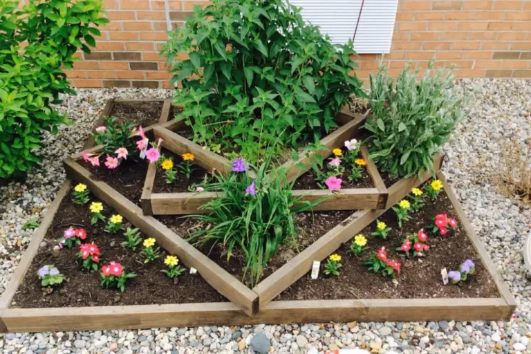 Image of Stonegate Senior Living (2)