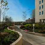 Image of The Admiral at the Lake Senior Living (2)