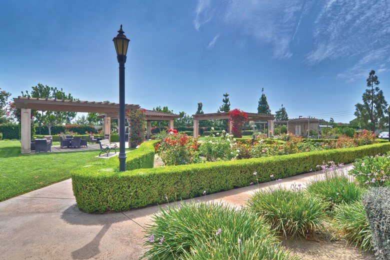 Image of Ivy Park at Cerritos (10)