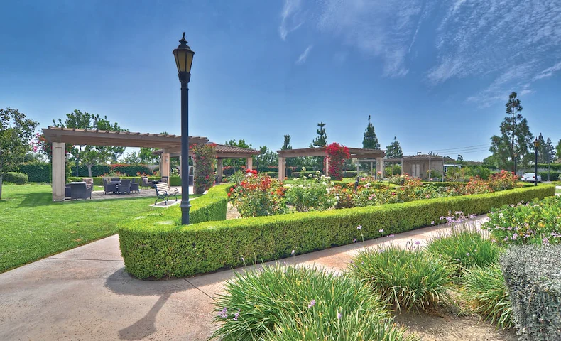 Image of Ivy Park at Cerritos (10)