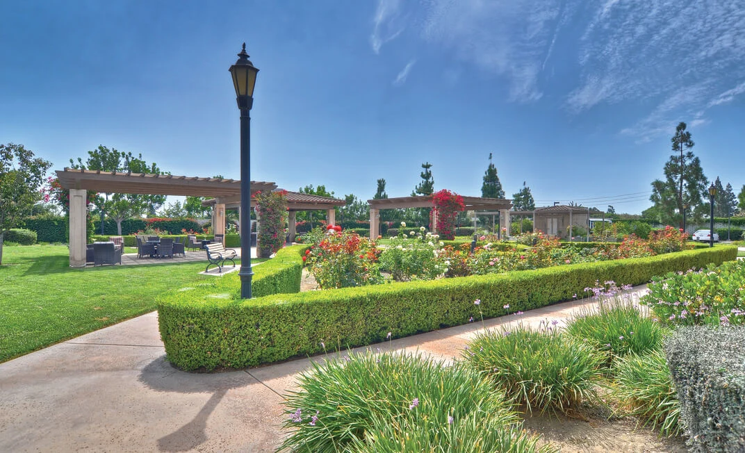 Image of Ivy Park at Cerritos (10)