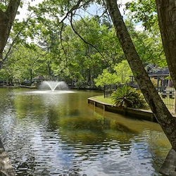 Image of The Village at Summerville Senior Living (2)