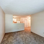 Image of Tall Trees (7)