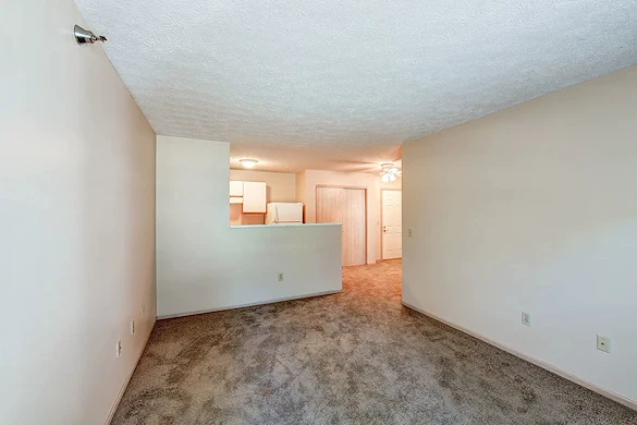 Image of Tall Trees (7)