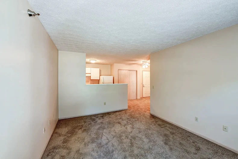 Image of Tall Trees (7)