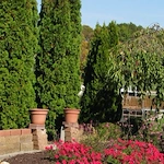 Image of The Cedars Retirement Community (8)