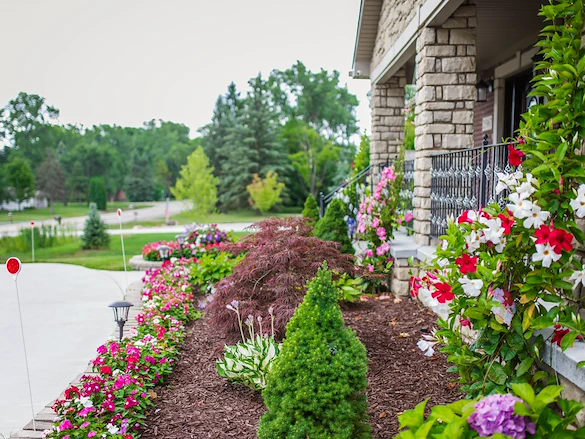 Image of Orchard Manor II (8)