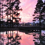 Image of The Heritage at Lowman - Senior Living (5)