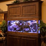 Image of Advanced Health Care Of Colorado Springs (5)