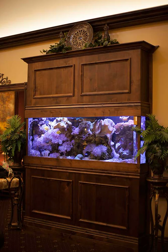 Image of Advanced Health Care Of Colorado Springs (5)