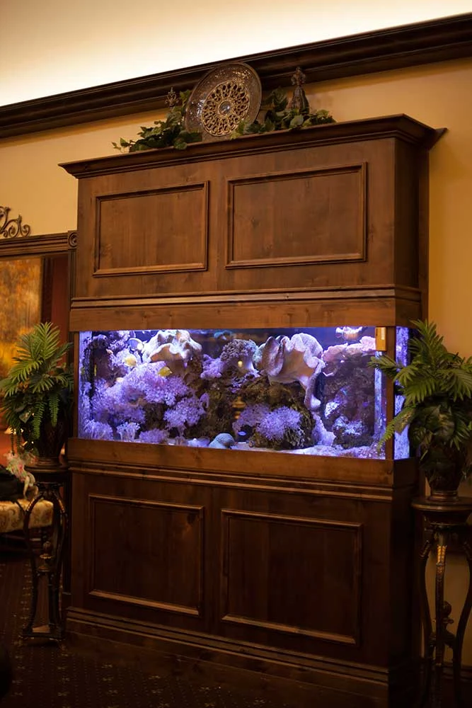 Image of Advanced Health Care Of Colorado Springs (5)