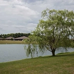 Image of CrownPointe of Hartford City (9)