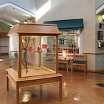 Image of Dover Place (6)