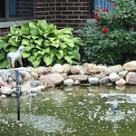 Image of Autumnwood Care Center (6)