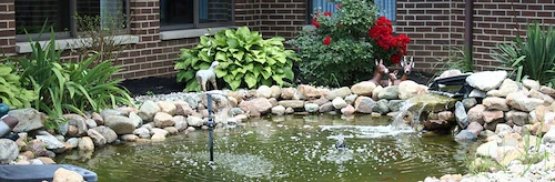 Image of Autumnwood Care Center (6)