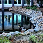 Image of The Atrium at Carmichael (4)