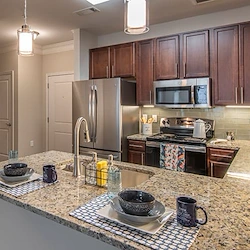 Image of Park at Johns Creek Senior Apartments (4)