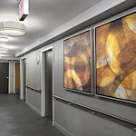 Image of The Grove Of La Grange Park (3)