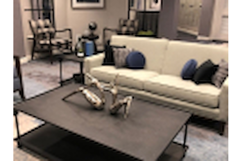Image of New Lenox Horizon (5)