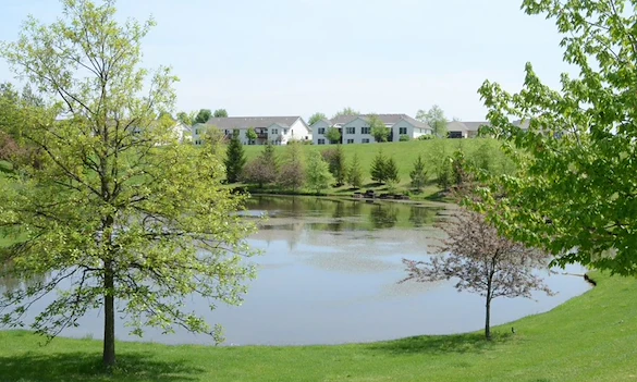 Image of The Fountains (6)