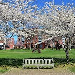 Image of RiverSpring Residences Assisted Living (1)