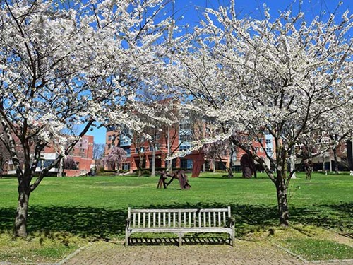 Image of RiverSpring Residences Assisted Living (1)
