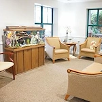 Ascension Living Bethlehem Woods Village senior living community offering independent living, assisted living, and memory care in La Grange Park, IL, community sitting area featuring a fish tank