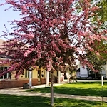 Image of Ostrander Care And Rehab (2)