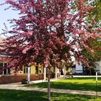 Image of Ostrander Care And Rehab (2)