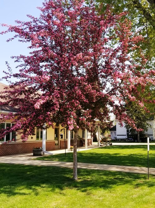 Image of Ostrander Care And Rehab (2)