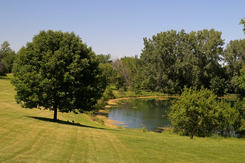 Image of Reflections Assisted Living - Parkview Manor (5)