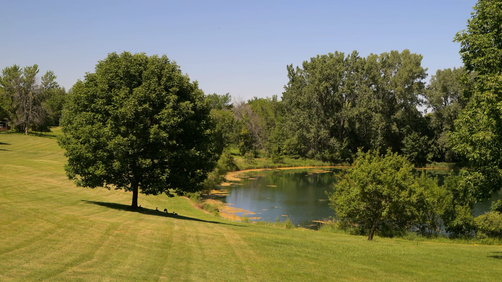 Image of Reflections Assisted Living - Parkview Manor (5)