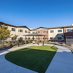 Image of Silver Birch of Avondale (2)