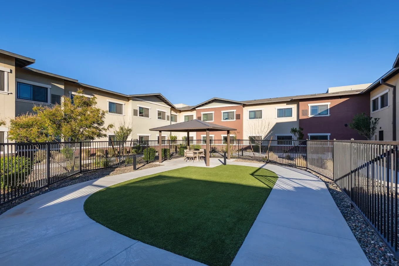 Image of Silver Birch of Avondale (2)