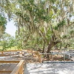 Image of Overture West Ashley (2)