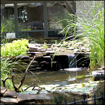 Image of Sharon Lane Health And Rehabilitation (3)