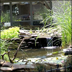 Image of Sharon Lane Health And Rehabilitation (3)