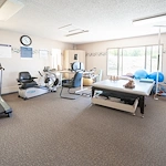 Image of Willow Tree (7)