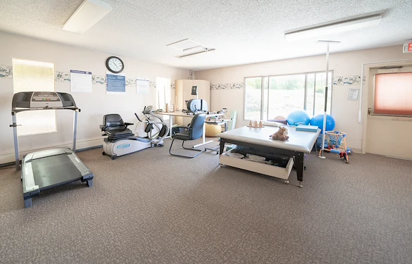 Image of Willow Tree (7)