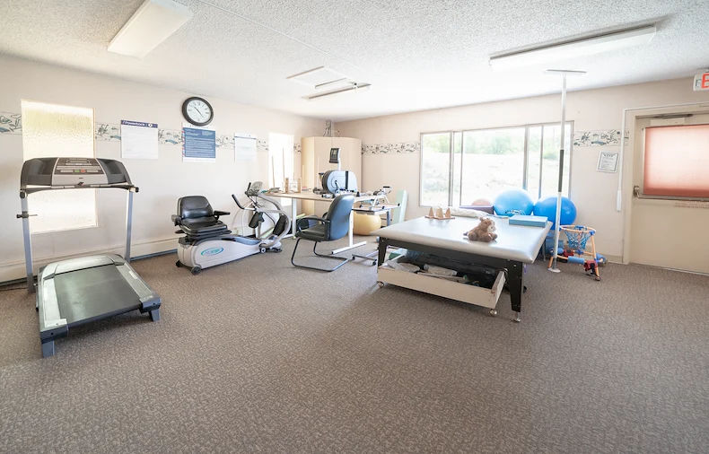 Image of Willow Tree (7)