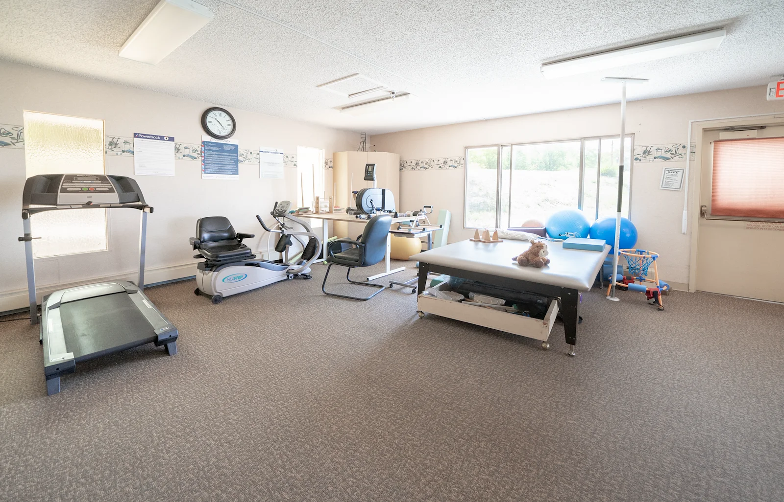 Image of Willow Tree (7)