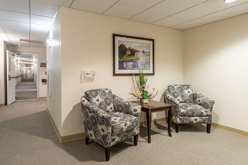 Image of Connect55+ Independence (10)