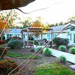 Image of Sodalis Milton (8)