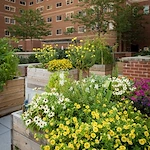 Image of Goodwin House Bailey's Crossroads Senior Living (4)