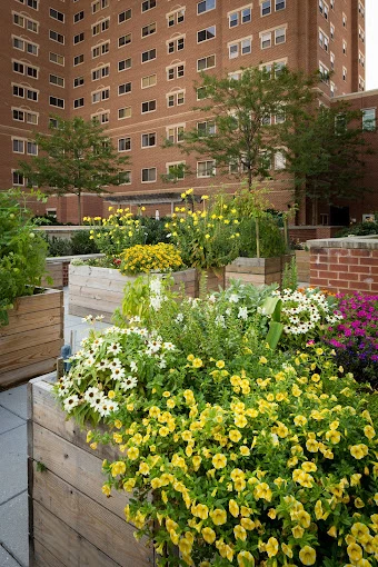 Image of Goodwin House Bailey's Crossroads Senior Living (4)