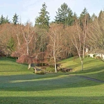 Image of Solstice Senior Living at Point Defiance (2)