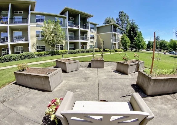 Image of Woodland by Bonaventure (10)